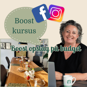 Boost på budget (Facebook & Instagram): 25.02.26