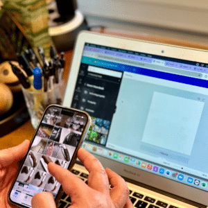 Canvakursus (Facebook & Instagram): Grafik og animation - 10.03.26